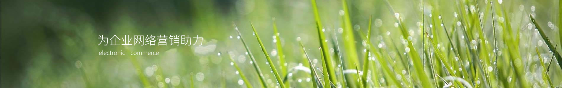 ݱ·޹˾